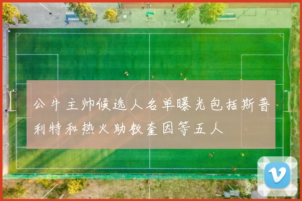 公牛主帅候选人名单曝光包括斯普利特和热火助教奎因等五人