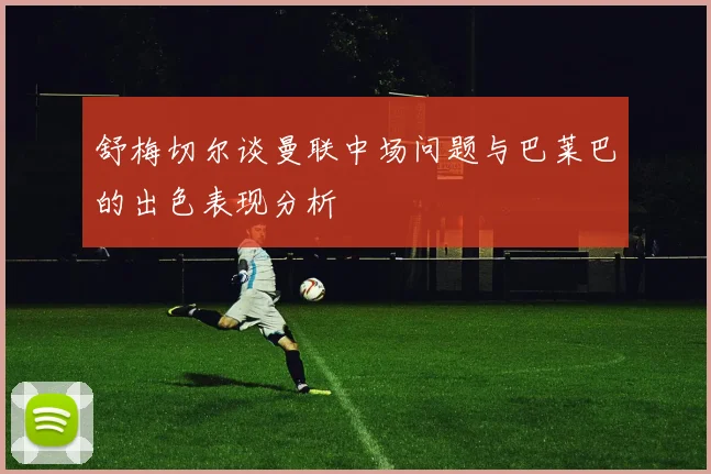 舒梅切尔谈曼联中场问题与巴莱巴的出色表现分析